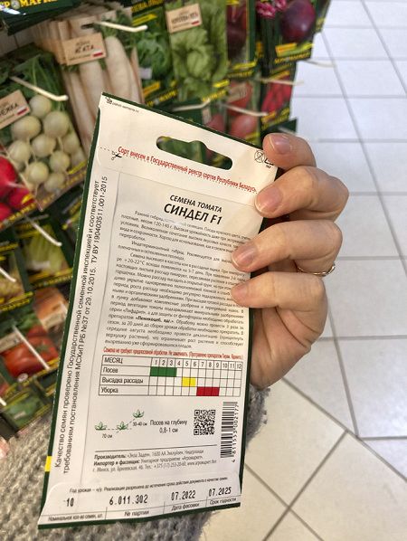 томат Синдел F1